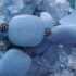 Angelite Stone Energy: Angelite Pietra Energetica