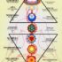 Energetic Systems Repair