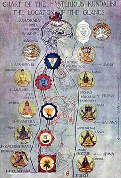 kundalini