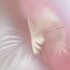 Arcangelo Jophiel Raggio di Luce Reiki